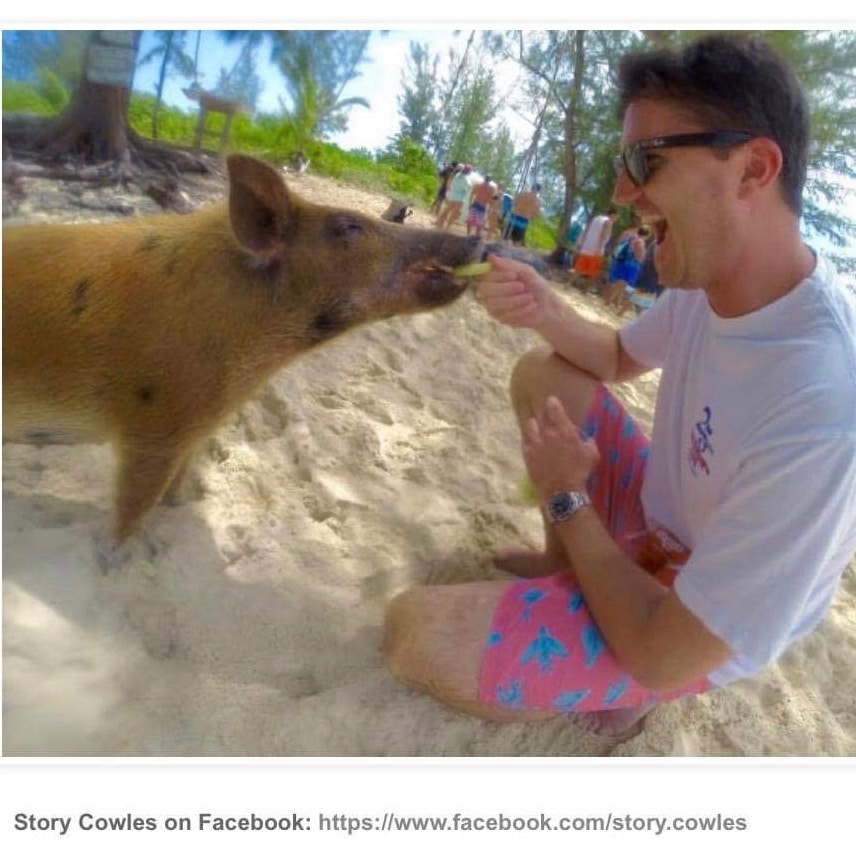 Story Cowles warthog